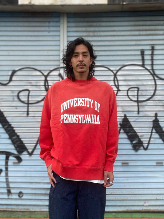 PENNSYLVANIA UNIVERSITY SWEAT