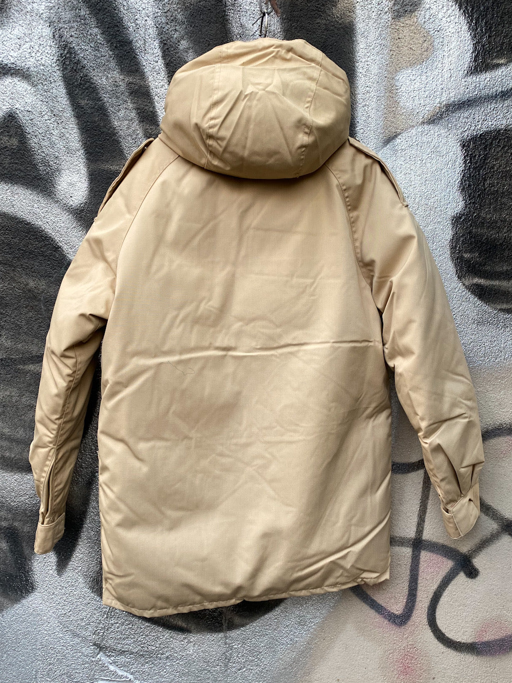 Down Parka