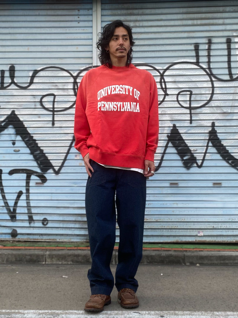 PENNSYLVANIA UNIVERSITY SWEAT
